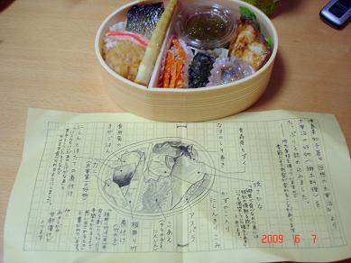 img20090614_1.jpg