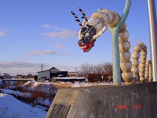 dc012117.jpg