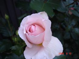 img20080625_6.jpg