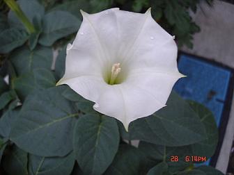 dc072835-3.jpg