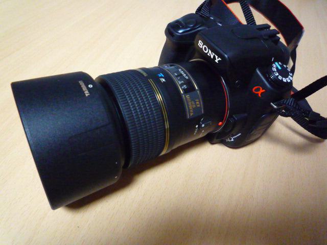 p1000523.jpg
