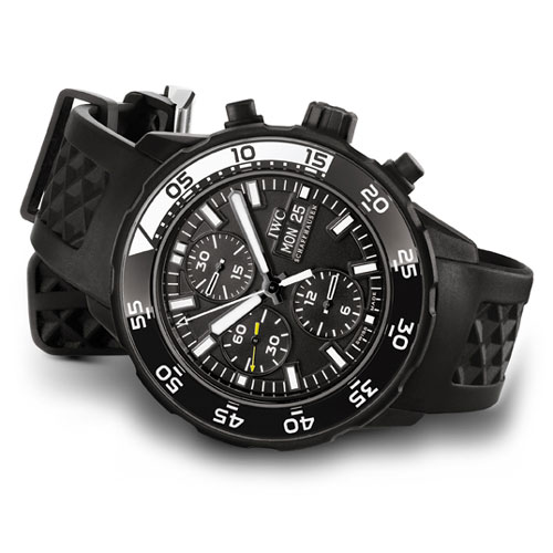 chn11_rpt3388_09iwc2_500.jpg