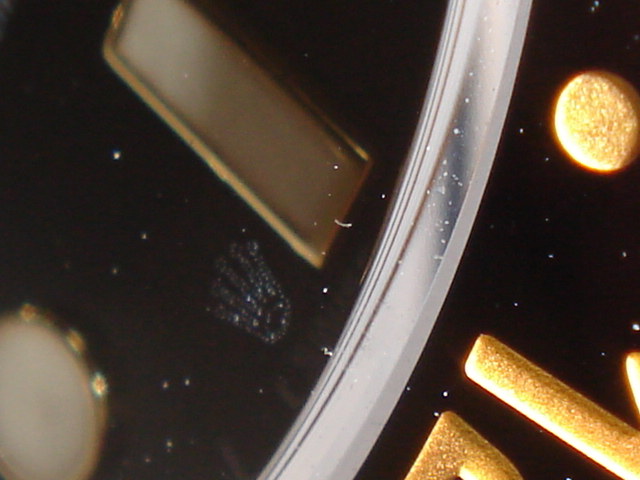 dsc01076.jpg