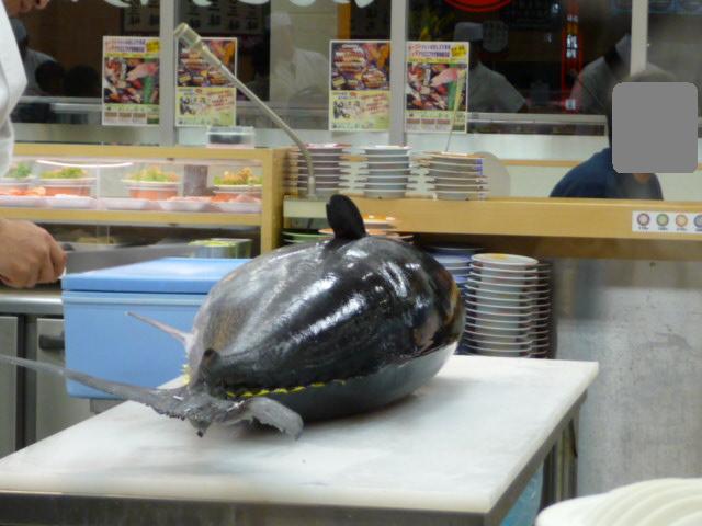 img20090112.jpg