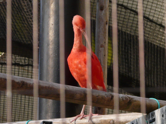 resize1204.jpg