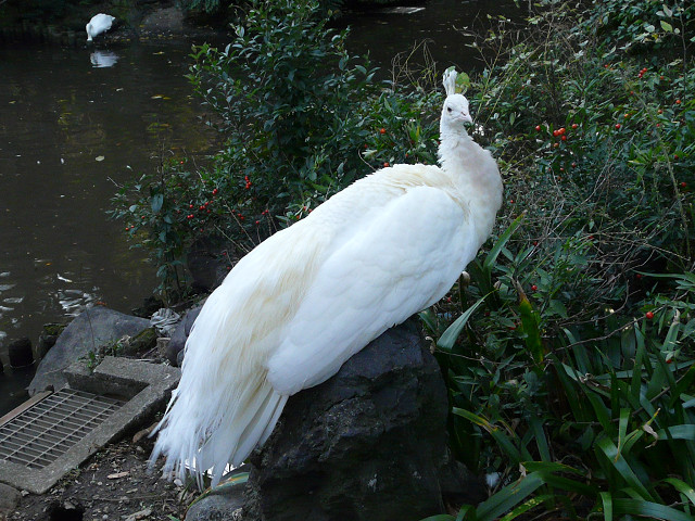 resize1216.jpg