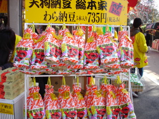 img20050223.jpg