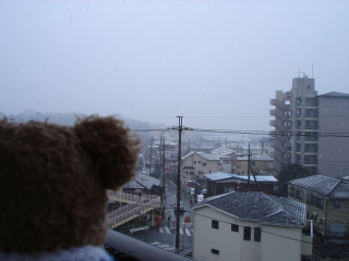 img20050126.jpg
