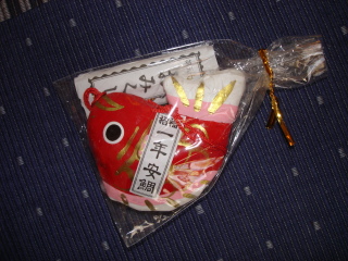 img20090107.jpg