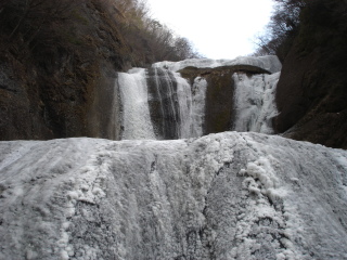 img20100118.jpg