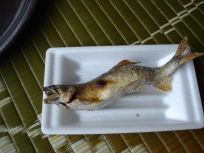 img20050813_2.jpg
