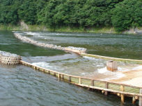 img20050813.jpg