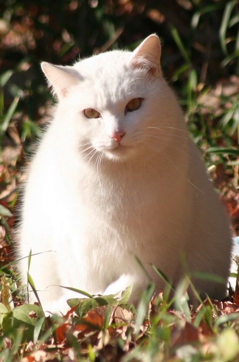 img20100124.jpg