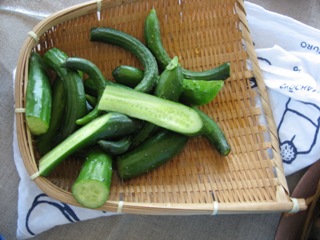2008010607.jpg