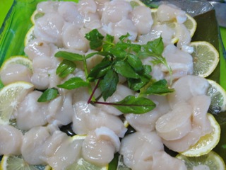 2008010603.jpg