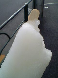 20060818ice2.jpg