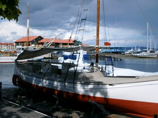 tasfish3.jpg