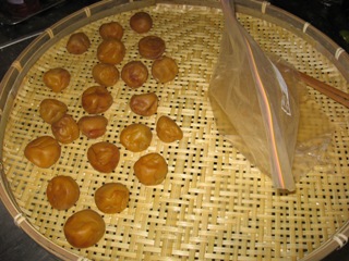 ume_20080715.jpg