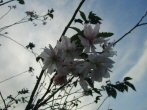 img20041029.jpg