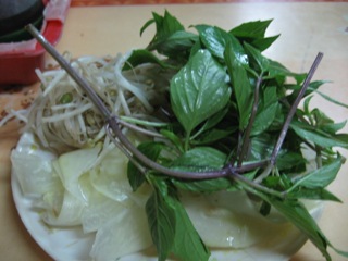 20081001_vet_pho1.jpg