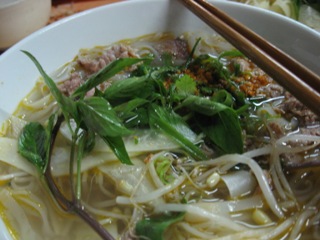 20081001_vet_pho2.jpg