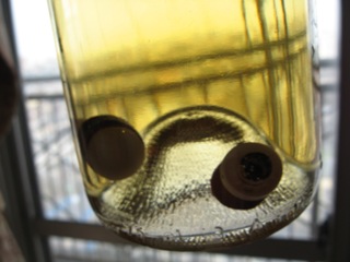 20070225_07.jpg