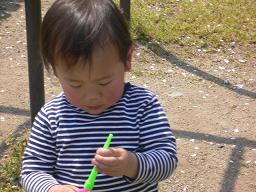 img20090408.jpg