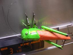 img20091025_3.jpg