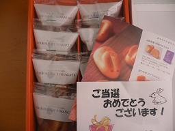 img20090226.jpg