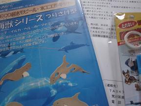 img20091224_1.jpg