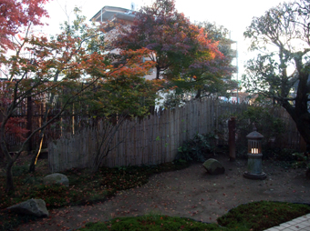img20081210_1.jpg