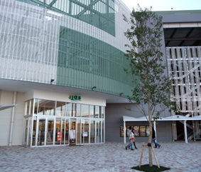 s081207-iias.jpg