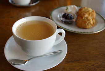 img20080204_2.jpg