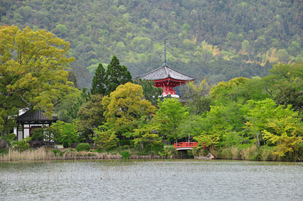 osawaike