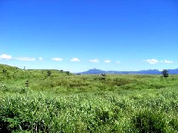 2007_08160069a.jpg
