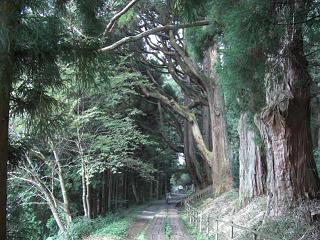 0809060031a.jpg