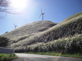 img20081016.jpg