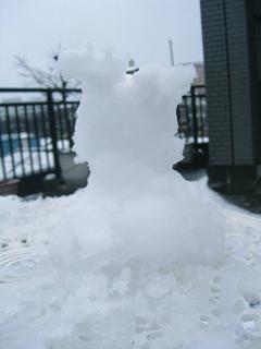 img20080203_1.jpg