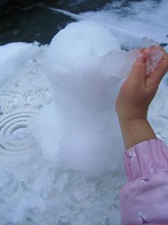 img20080203.jpg