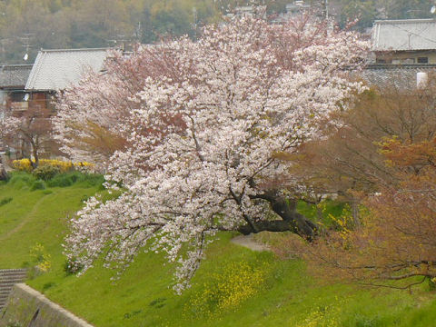 resize0892.jpg