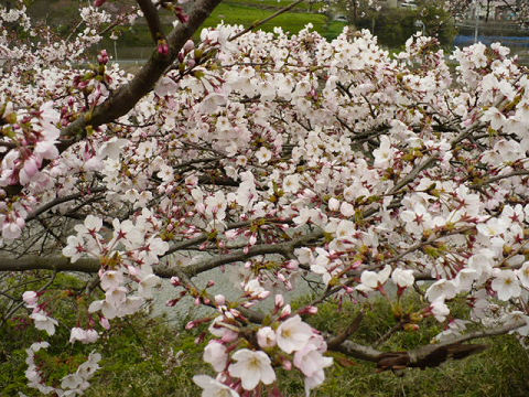 resize0862.jpg