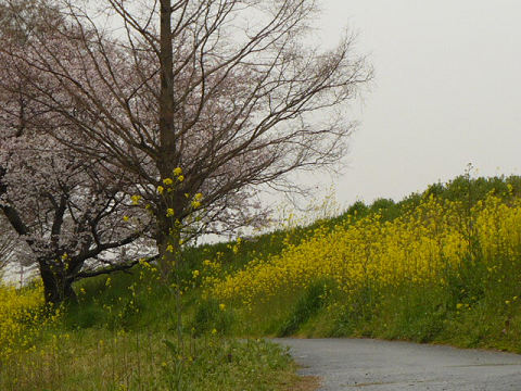 resize0930.jpg