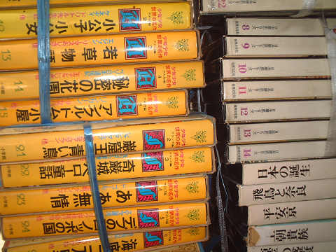 resize0029.jpg