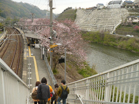resize0859.jpg