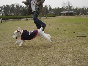 dsc00881.jpg