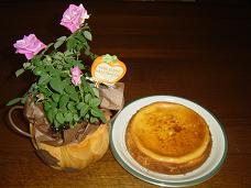 img20051029.jpg
