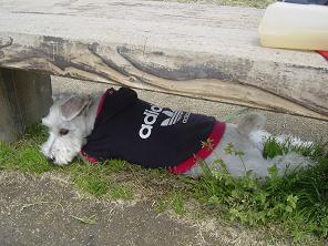 dsc00866.jpg