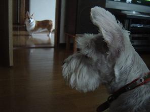 dsc01503.jpg