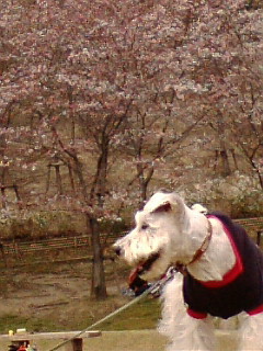 20080402114119.jpg