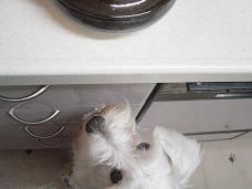 dsc08015.jpg